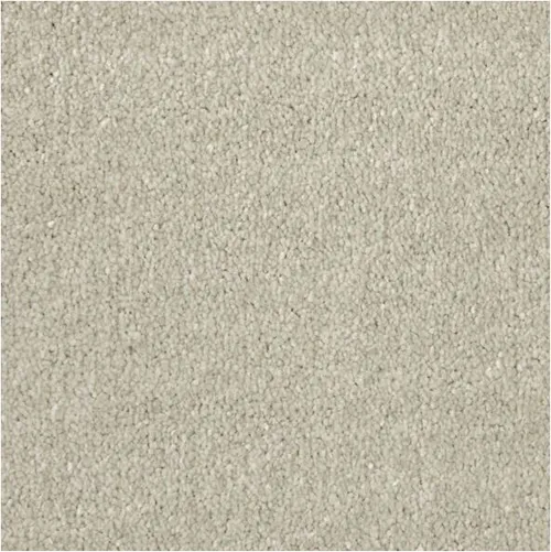 Apollo Elite Cadet Grey